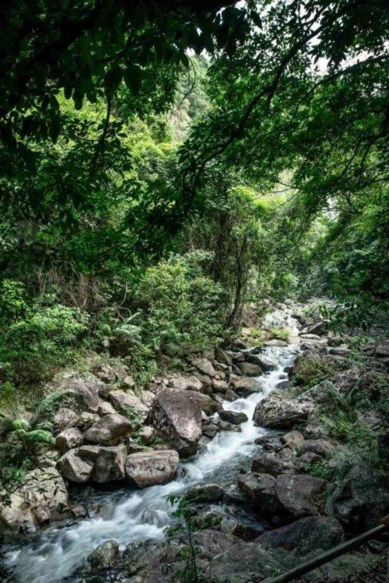 相扑选手大跳跃
